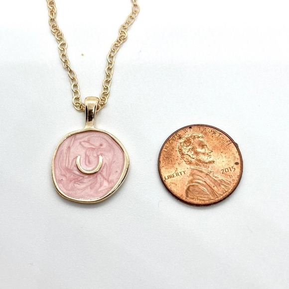 PINK Resin Horseshoe Lucky Charms Necklace - Picture 7 of 8